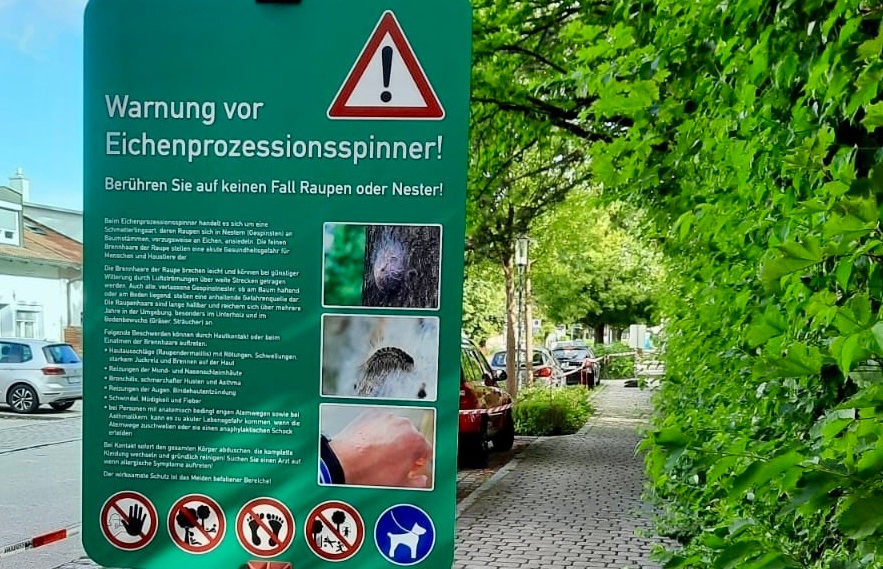 Schild zur Absperrung wg. Eichenprozessionsspinner