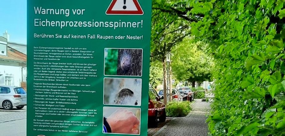 Schild zur Absperrung wg. Eichenprozessionsspinner