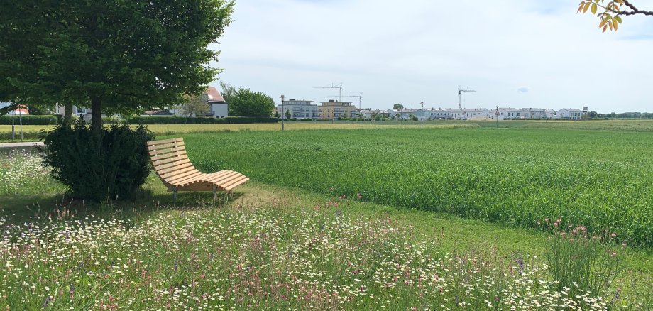 Relaxliege aus dem Bürgerhaushalt 