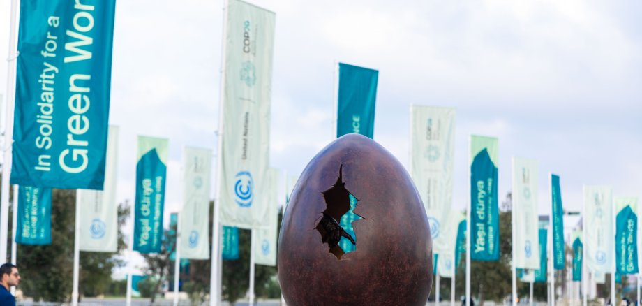 COP29 Fahne