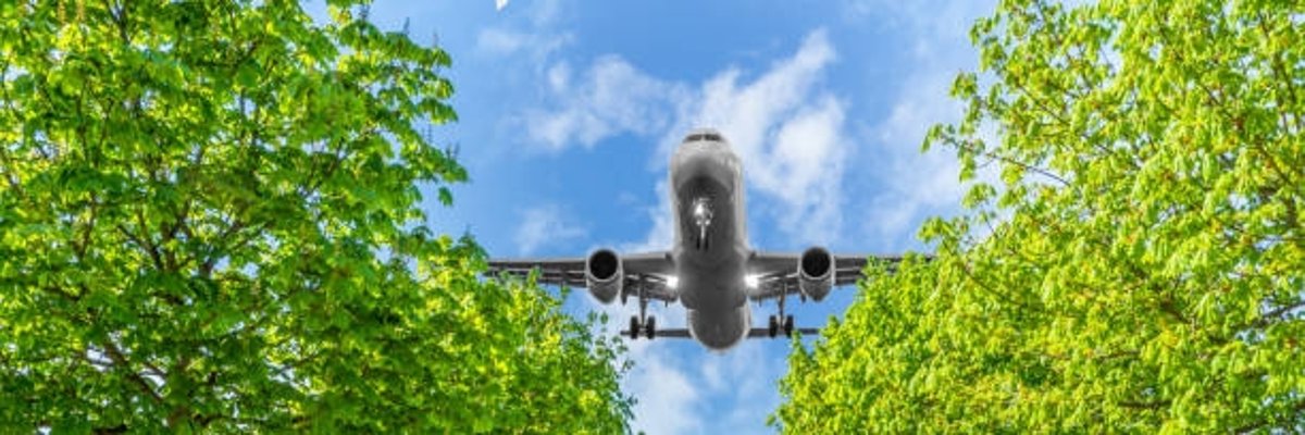 Flugzeug fliegt tief über Alleebäume