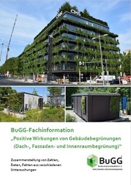 Cover Broschüre BuGG Fachinfo Gebäudebegrünung
